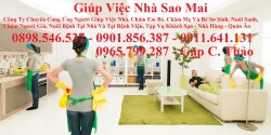 CẦN TÌM NGƯỜI GIÚP VIỆC GỌI CHỊ THẢO SAO MAI LÀ CÓ NGƯỜI SAU 1 PHÚT