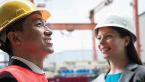 Import Export Manager